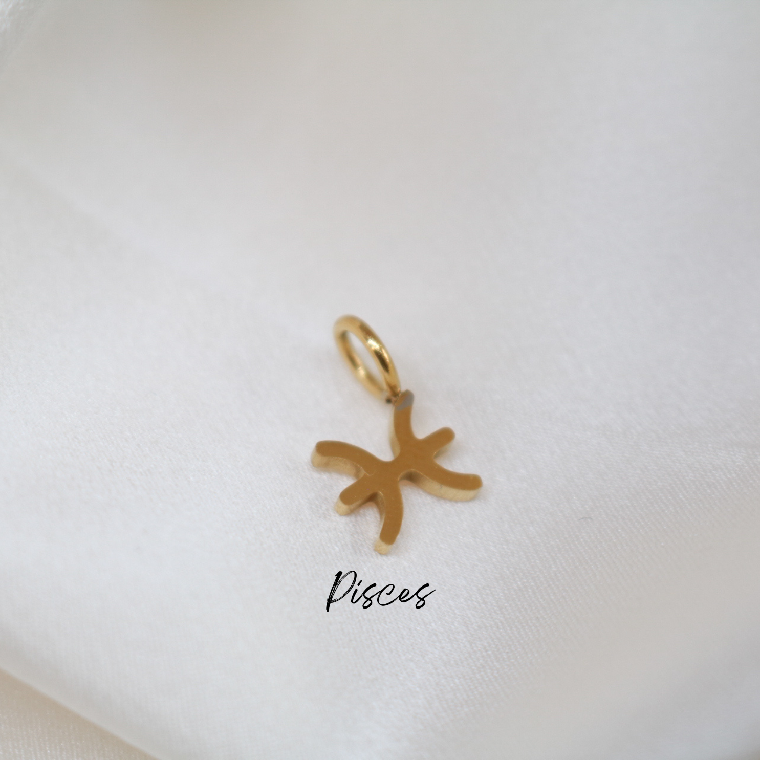 Sternzeichen-Charm aus 18k vergoldetem Edelstahl – Minimalistisches Design