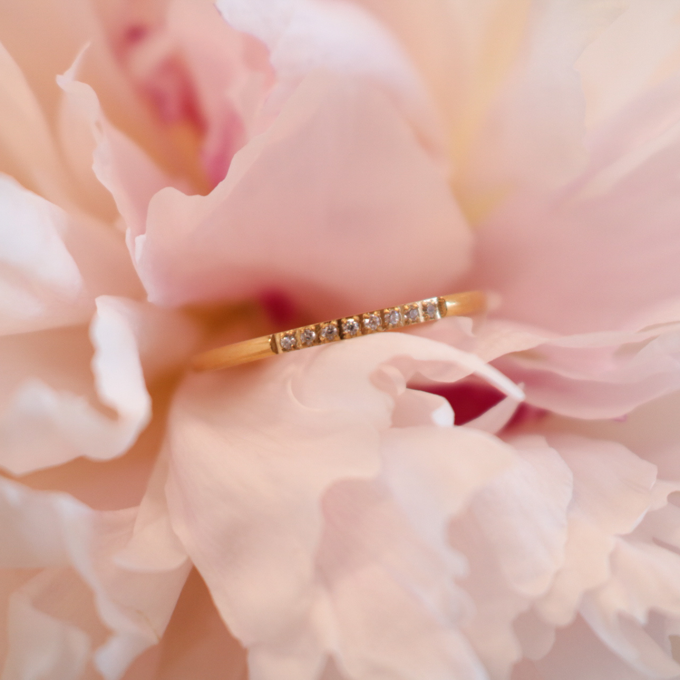 Lini Filigraner Zirkonia-Ring aus Edelstahl 18k vergoldet